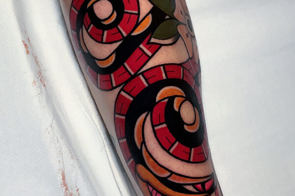 Pietro-Buccinnà-Solid-traditional-tattoo-serpente